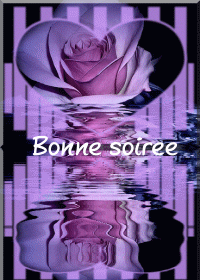 bonne soirée