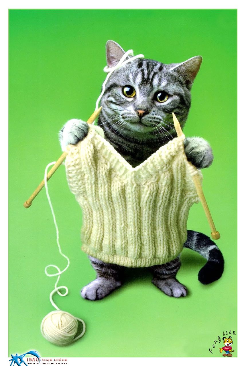 Afficher limage dorigine